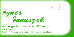 agnes hanuszek business card